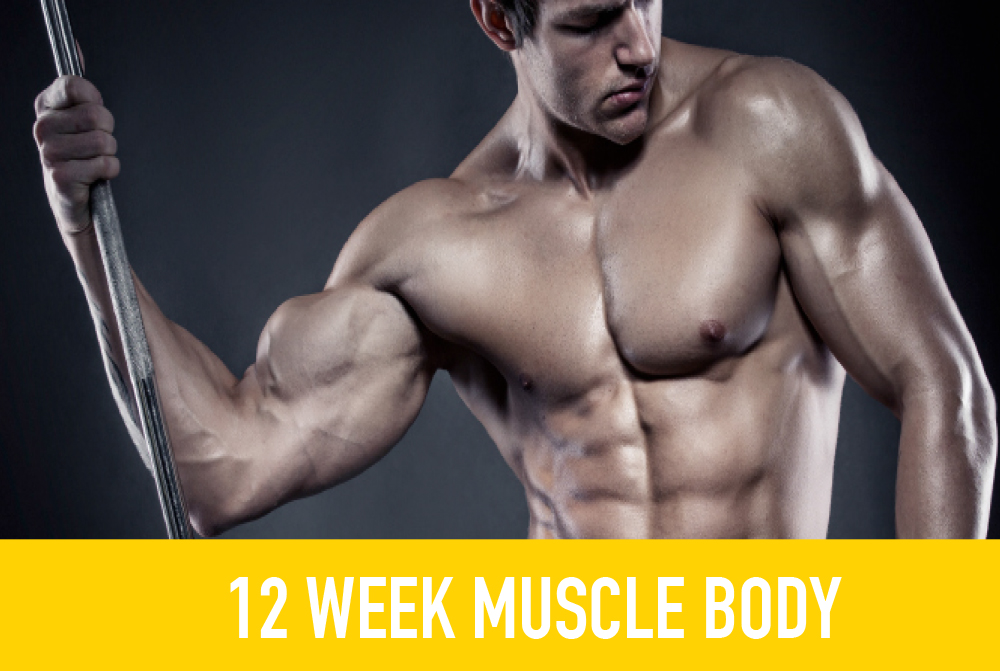 12 week muscle building - link header