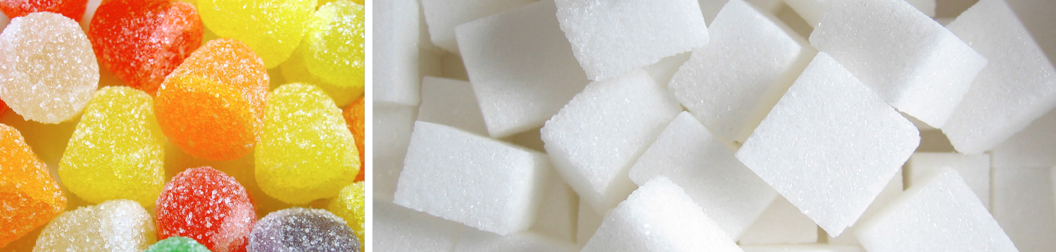 MoreFit-Sugar-Detox-Bootcamp Header
